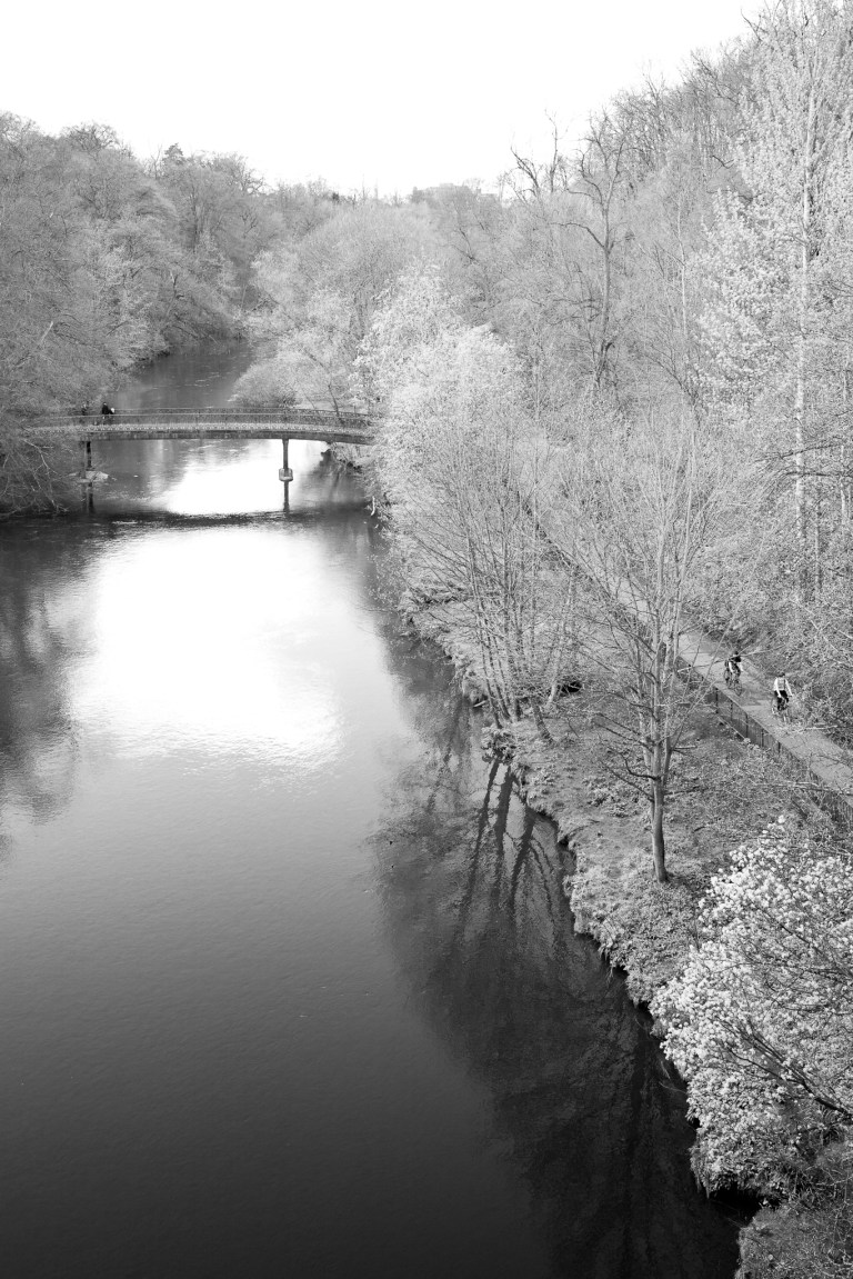 Kelvinside Medium-2024