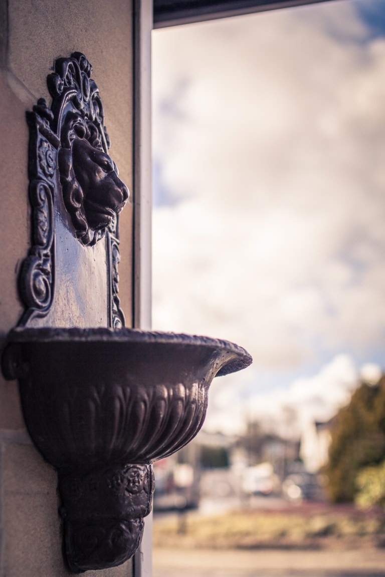 NewtonMearns Giffnock Clarkston (Medium)-1139