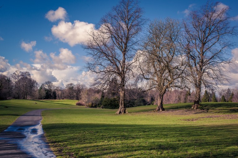 NewtonMearns Giffnock Clarkston (Medium)-1216