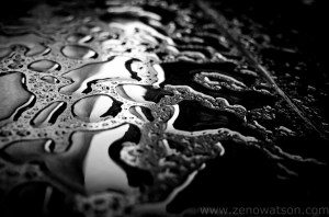 ZenoWatson Droplets-0002125