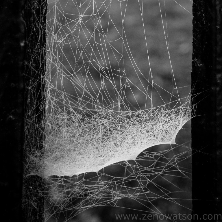 TheFog by Zeno Watson-0003280-2