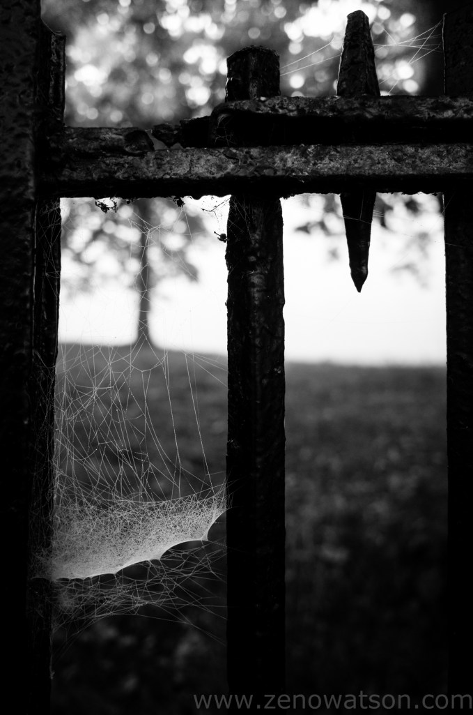 TheFog by Zeno Watson-0003280