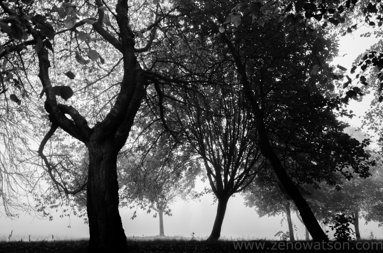 TheFog by Zeno Watson-0003283