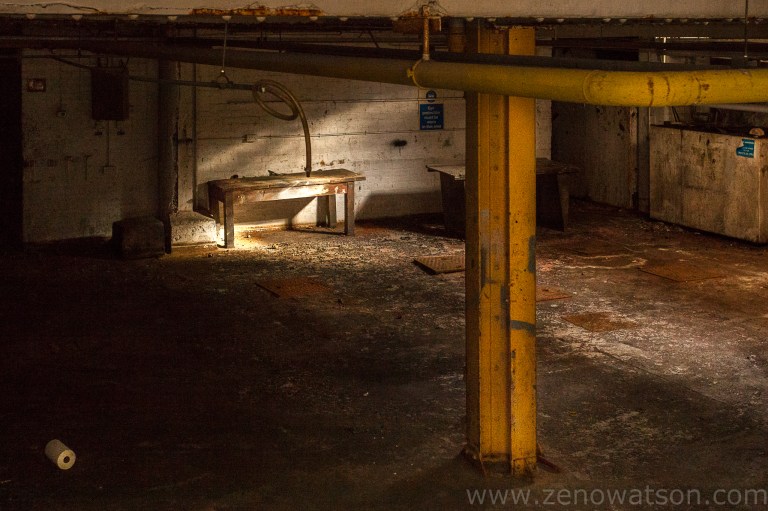 Botanic Garage By Zeno Watson-3765