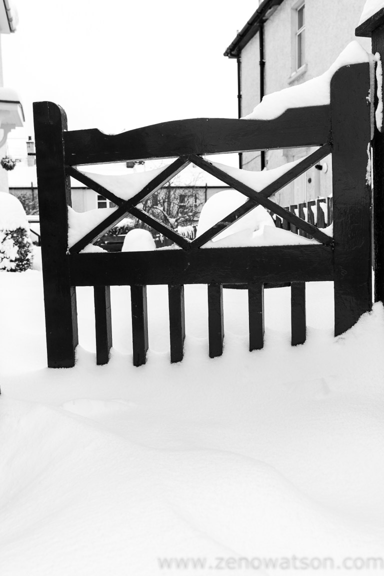 Snowfall in Scotstoun By Zeno Watson-3936