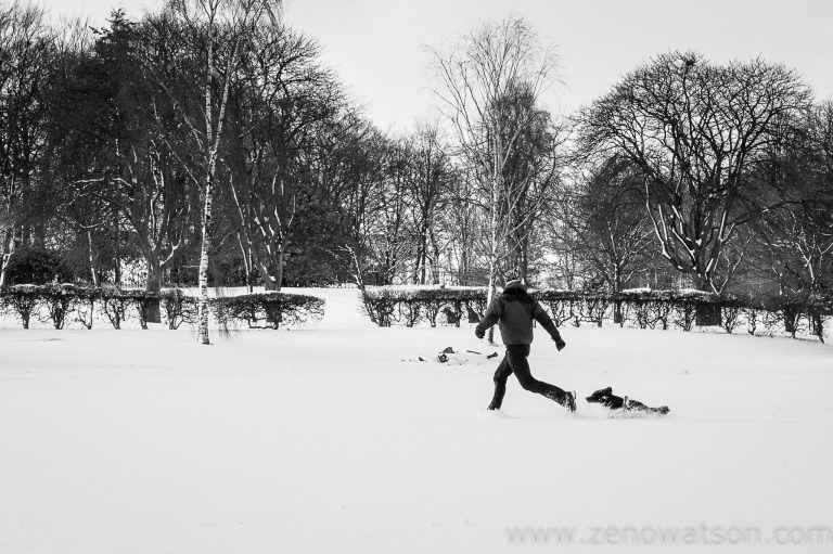 Snowfall in Scotstoun By Zeno Watson-4078