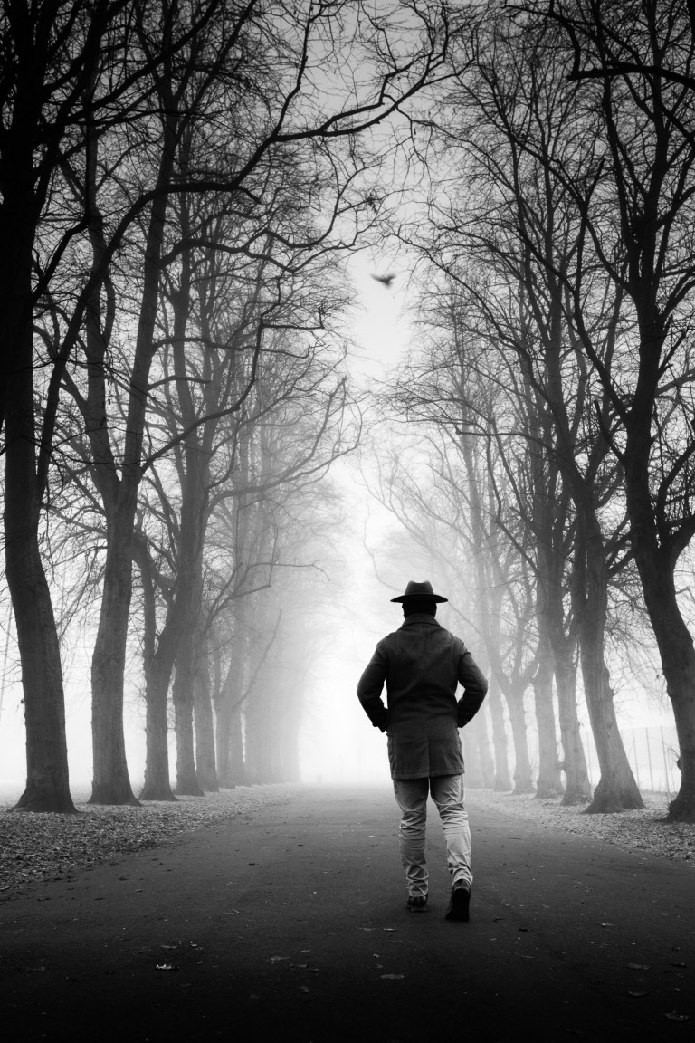 Fog By Zeno Watson-2728